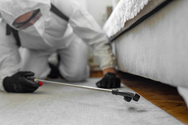 Professional Pest Control technician working in Bonner County County, ID